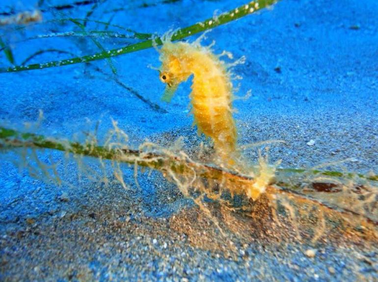 Discovery Diving Center