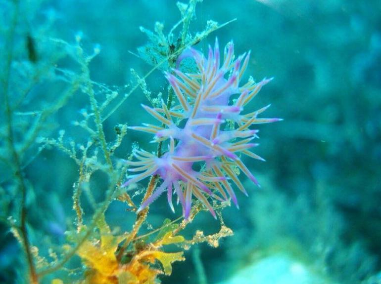 Discovery Diving Center