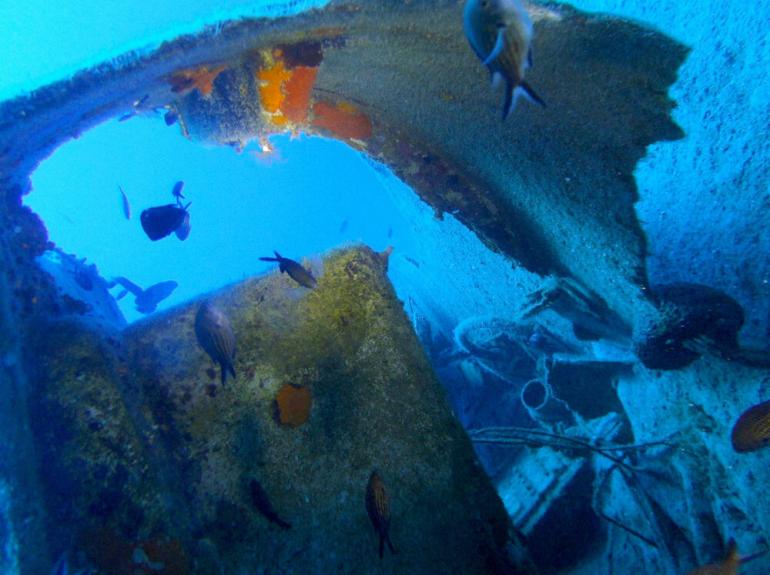 Discovery Diving Center