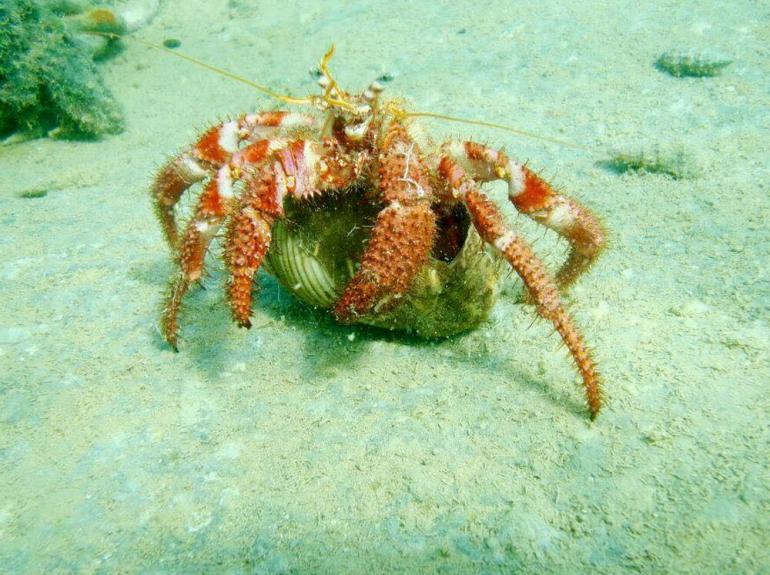 Discovery Diving Center