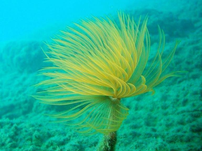 Discovery Diving Center