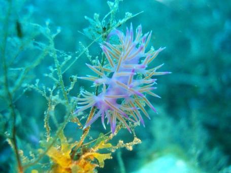 Discovery Diving Center